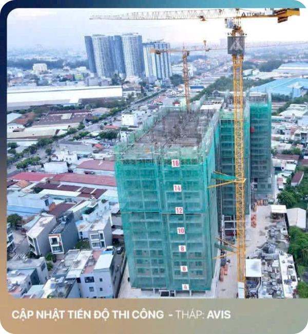 TT AVIO cập nhật tiến độ Tháp AVIS: Thi công đến tầng 17, bám sát cam kết cuối năm 2025