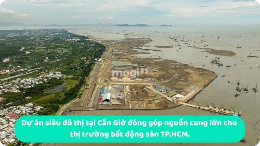 Kimoanhcorp.vn