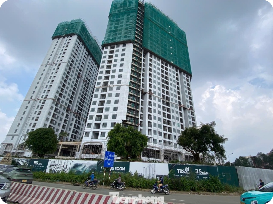 Kimoanhcorp.vn