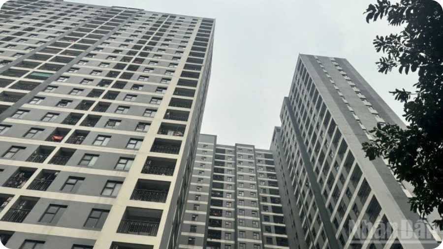 Kimoanhcorp.vn