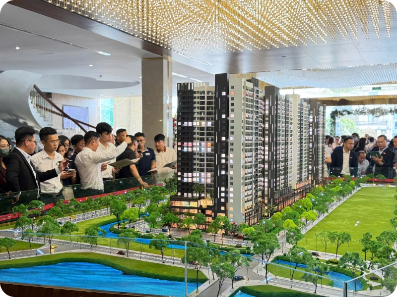 Kimoanhcorp.vn