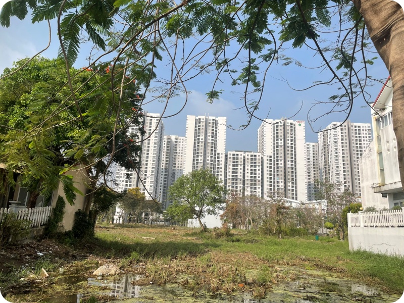 Kimoanhcorp.vn
