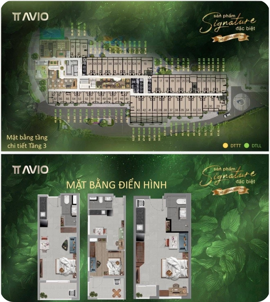 Kimoanhcorp.vn