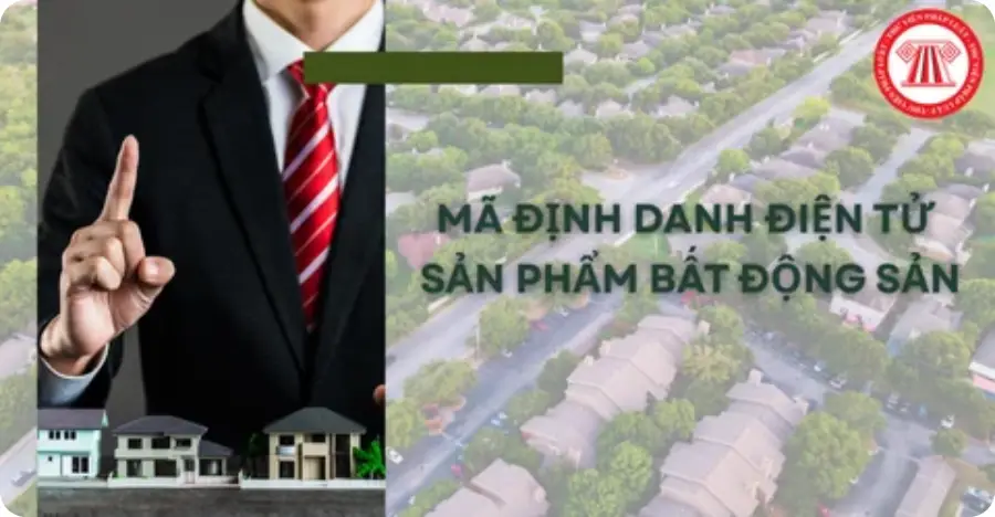 Kimoanhcorp.vn